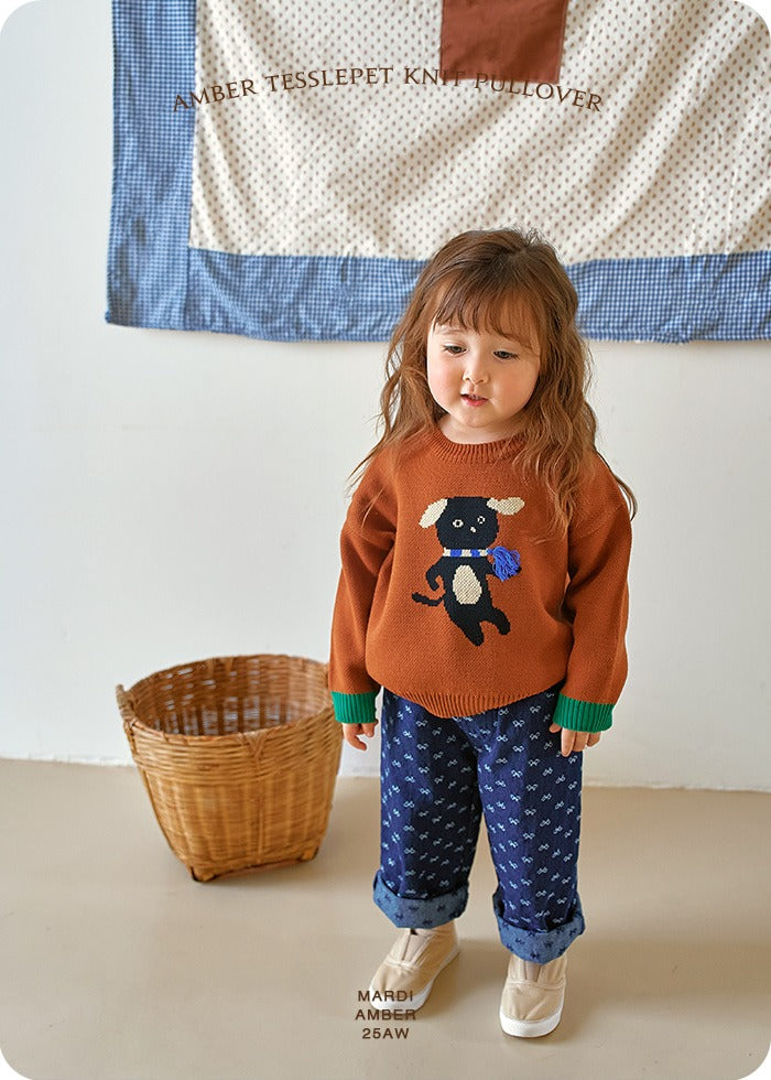 Amber Tassel Pet Knit Pullover