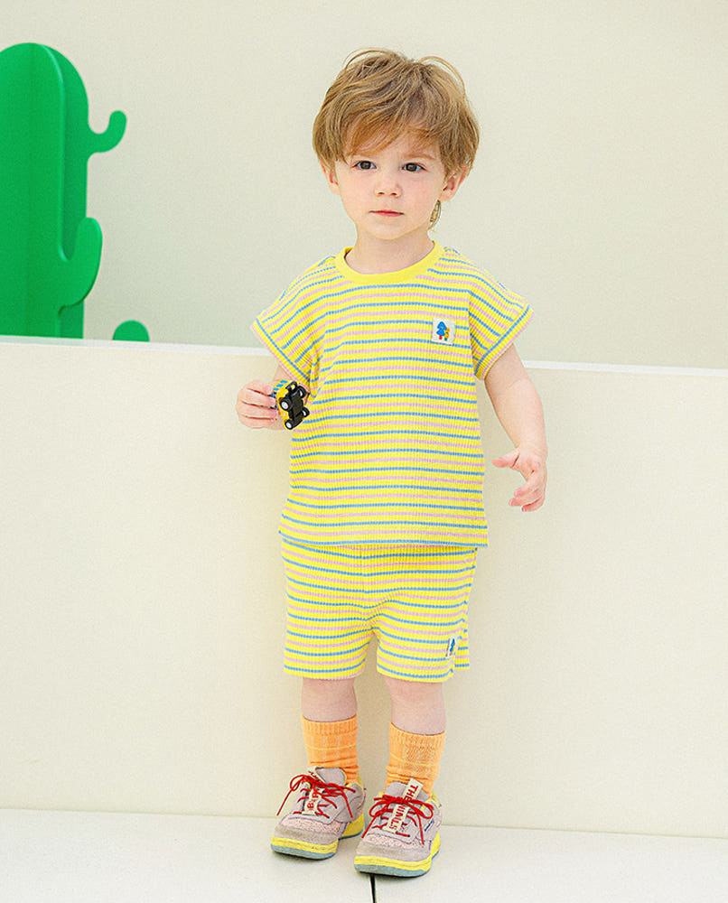 [Pimpoyo] Newt Stripe Set