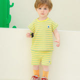 [Pimpoyo] Newt Stripe Set