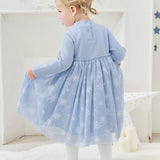 [Disney] Frozen Elsa Goljisha One Piece