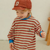 Autumn stripe t-shirt (3 color)