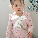 Amber single span 25SS Indoor Set