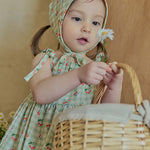 Cherrybell dress