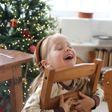 Joyeux Noël_Winter Donkey Indoor Set