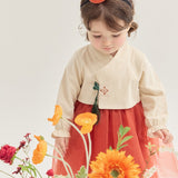 Danhwa Korean Hanbok