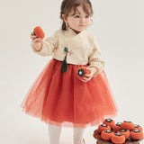 Danhwa Korean Hanbok