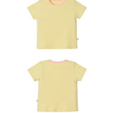 Summer Gelato Set_Apple Peach