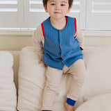 Dog Vest Outer (Blue)