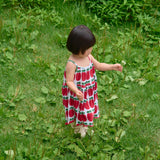 Apple Sleeveless Pleated Dress