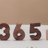 oioiooi Numbers Play Block Set