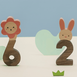 oioiooi Numbers Play Block Set