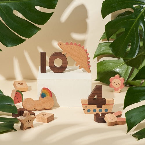 oioiooi Numbers Play Block Set